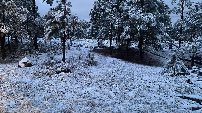 Nevada Guadalupe y Calvo